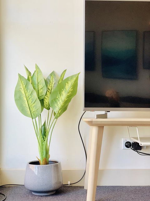 ZEN Homes On Collins - Nambucca Heads Accommodation 3