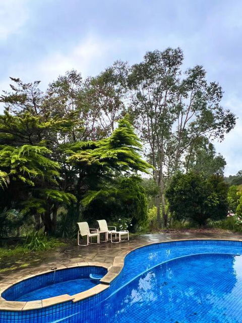 A Lovely Pool House In Forest - Nambucca Heads Accommodation 2