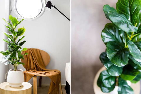 A Stylish 2BR Apt Next To Vic Market FREE Parking - Nambucca Heads Accommodation 4