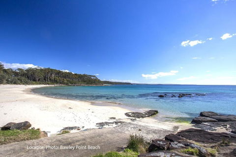 Aidan - Nambucca Heads Accommodation 2