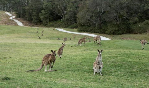 Anglesea River Apartment 22 - Nambucca Heads Accommodation 4