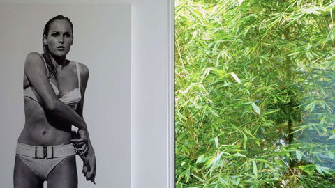 Apartment Two - Nambucca Heads Accommodation 4