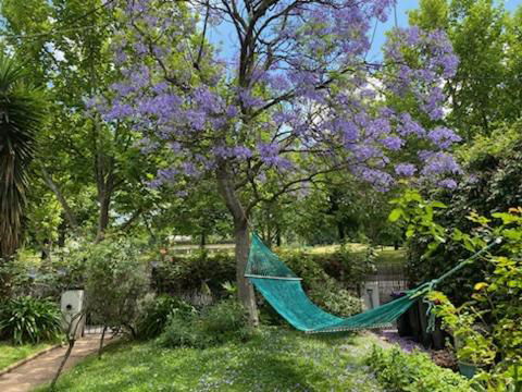 Art House On The Park - Nambucca Heads Accommodation 4