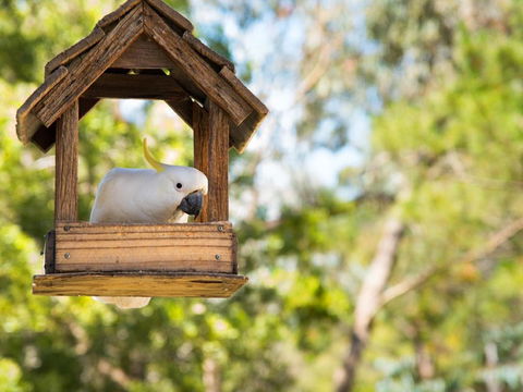 Ashling - Nambucca Heads Accommodation 4