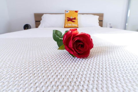 Asteroid B-612 Urban Bliss Retreat - Nambucca Heads Accommodation 4