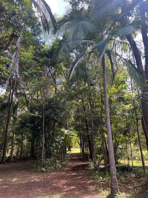 Avana Byron Apartment - Nambucca Heads Accommodation 4