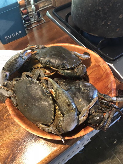 Cairns Beach House Our Oasis - Nambucca Heads Accommodation 4