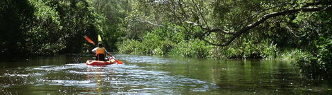 Absolute Waterfront - Nambucca Heads Accommodation 33