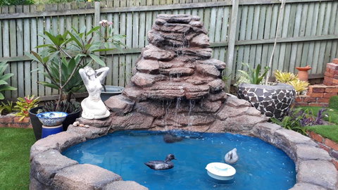 Private Apartment With Scenic Gardens - Nambucca Heads Accommodation 15