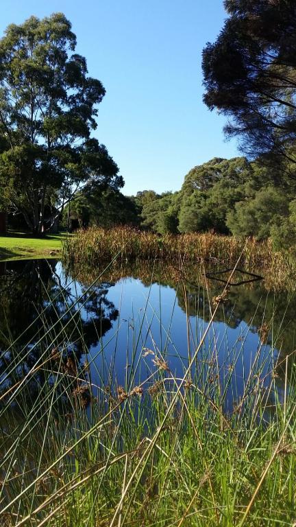 Crystal Springs Holiday Accommodation - Nambucca Heads Accommodation 0