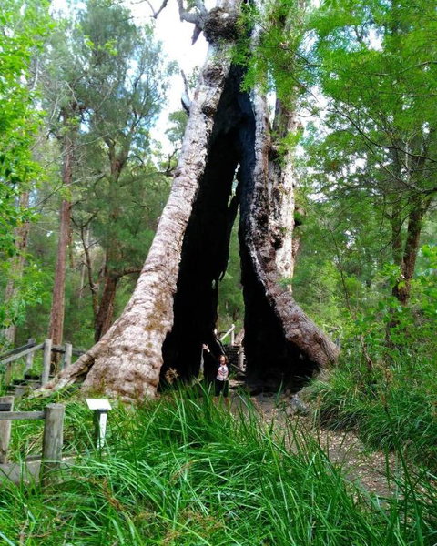 Crystal Springs Holiday Accommodation - Nambucca Heads Accommodation 3