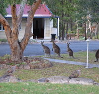 31 The Rocks - Nambucca Heads Accommodation