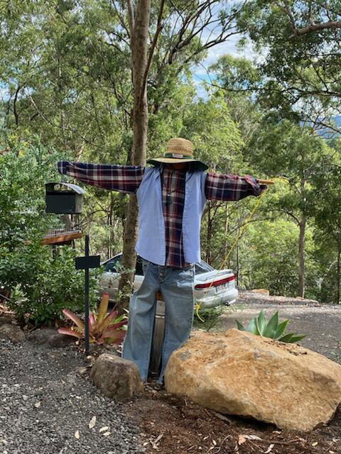 424 Trees - Nambucca Heads Accommodation 3