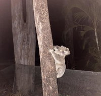 5 mins to Movie world  pet friendly - Nambucca Heads Accommodation