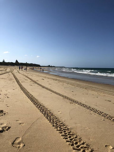 8 ON ELYSEE Alexandra Headland / Mooloolaba Beach - Nambucca Heads Accommodation 2