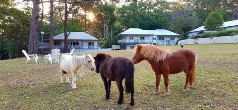 Aaronlee Retreat - Nambucca Heads Accommodation 2