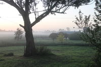 Book Heyfield Accommodation Vacations Nambucca Heads Accommodation Nambucca Heads Accommodation