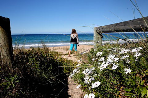 Absolute Beachfront Mollymook - Nambucca Heads Accommodation 3