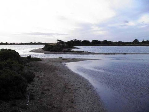 Absolute Waterfront - Nambucca Heads Accommodation 1