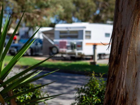 Echo Holiday Parks - Windsor Gardens - Nambucca Heads Accommodation 4