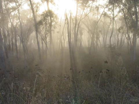 Fergies Hill Spa Cottage @ Granite Ridge Wines - Nambucca Heads Accommodation 1