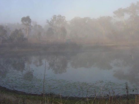 Fergies Hill Spa Cottage @ Granite Ridge Wines - Nambucca Heads Accommodation 4