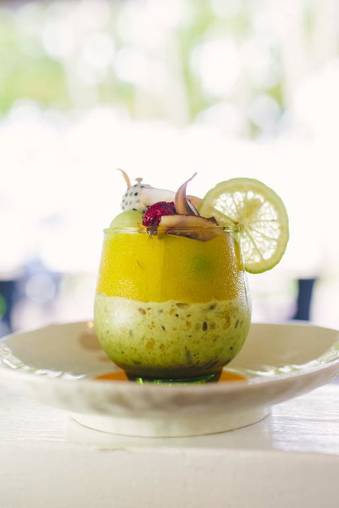 Alamanda Palm Cove By Lancemore - Nambucca Heads Accommodation 3