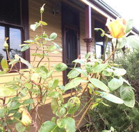 Albion Cottage - Nambucca Heads Accommodation