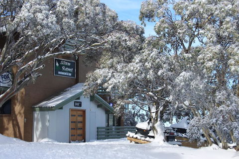 Alpine Retreat Mt Buller - Nambucca Heads Accommodation 0