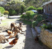 Anchorage Apartments - Nambucca Heads Accommodation