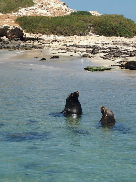 Anchorage Guest House And Self-contained Accommodation - Nambucca Heads Accommodation 3