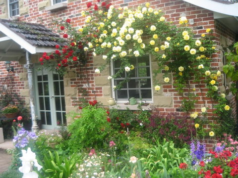 Annie's Cottage - Nambucca Heads Accommodation 3
