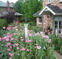 Annie's cottage - Nambucca Heads Accommodation