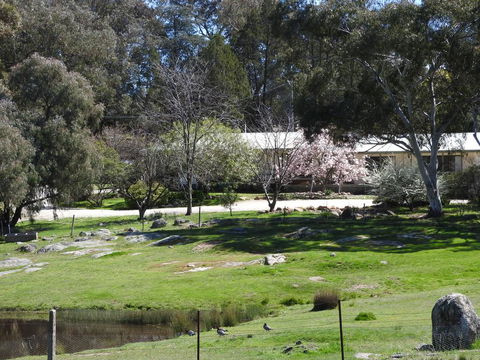 Annies Holiday Units - Nambucca Heads Accommodation 3