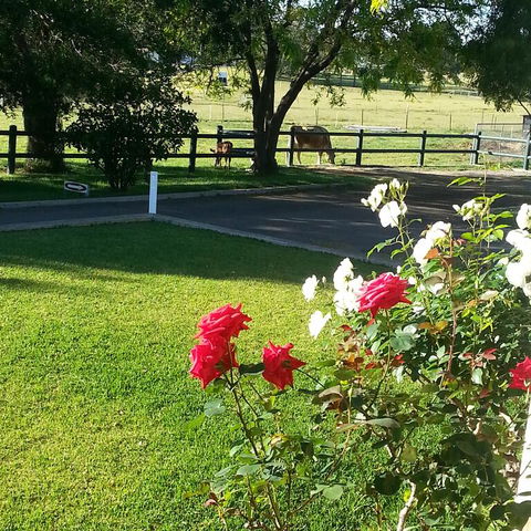 Appin Homestay B & B - Nambucca Heads Accommodation 3