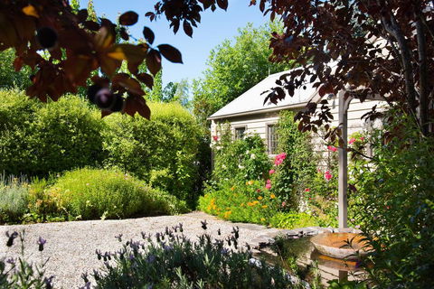 Argus Hill Cottage - Nambucca Heads Accommodation 1