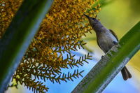 Book Karumba Accommodation Vacations Nambucca Heads Accommodation Nambucca Heads Accommodation