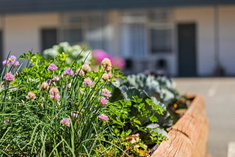 Maffra Motor Inn - Nambucca Heads Accommodation 3