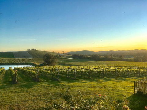 Mount Hope Estate Vineyard - Nambucca Heads Accommodation 0