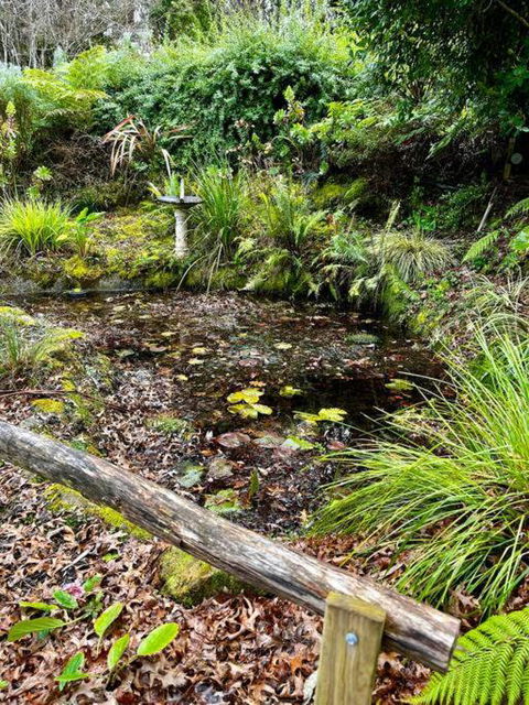 Mountain Views In Vesper Victoria - Nambucca Heads Accommodation 1