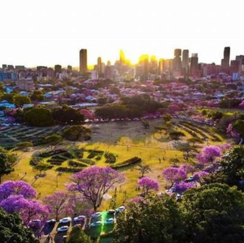 Perfect Haven In Spring Hill 2B1B And Parking - Nambucca Heads Accommodation 2