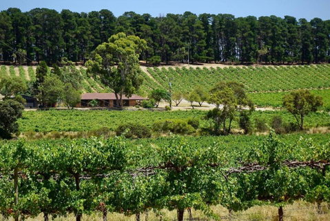 Picturesque Vineyard Farmhouse Nestled On 40-Acres - Nambucca Heads Accommodation 0