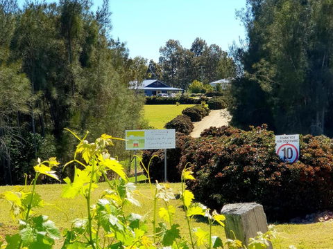 Red Door Collective - RDC Vineyard Estate, Luxury Adult Only Stay - Nambucca Heads Accommodation 0