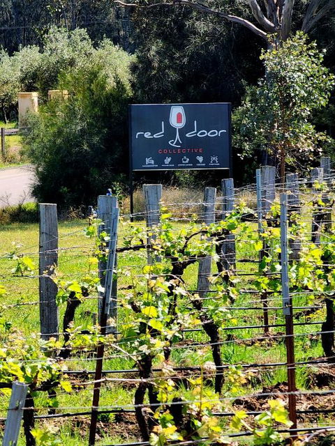 Red Door Collective - RDC Vineyard Estate, Luxury Adult Only Stay - Nambucca Heads Accommodation 1