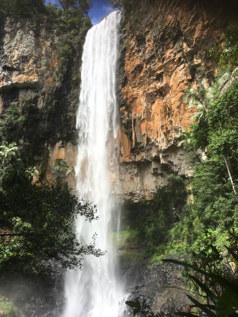 Purling Brook Falls Gwongorella - Nambucca Heads Accommodation 1