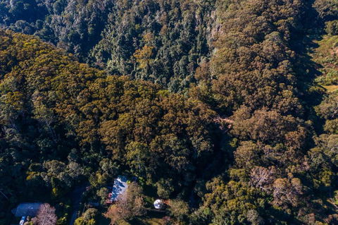 Purling Brook Falls Gwongorella - Nambucca Heads Accommodation 2