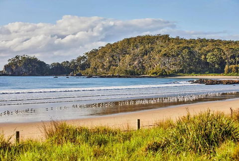 Rare Broulee Beachfront House - Nambucca Heads Accommodation 3