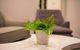 Astrina 2 Bed Value Apartment - thumb 1