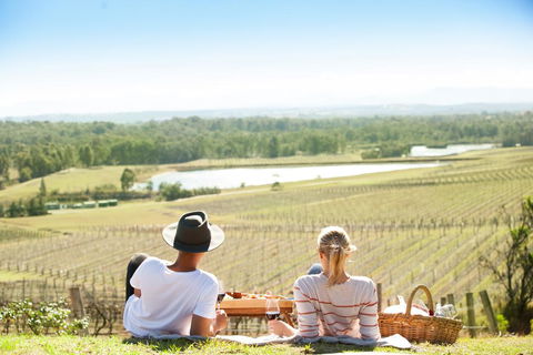 Audrey Wilkinson Vineyard - Nambucca Heads Accommodation 0