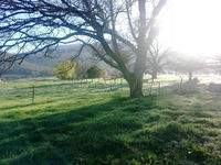 Book Mongans Bridge Accommodation Vacations Nambucca Heads Accommodation Nambucca Heads Accommodation
